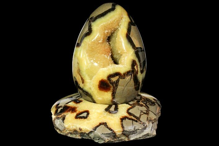 Polished Septarian Egg with Stand - Madagascar #118145